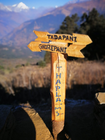 Tadapani during Annapurna